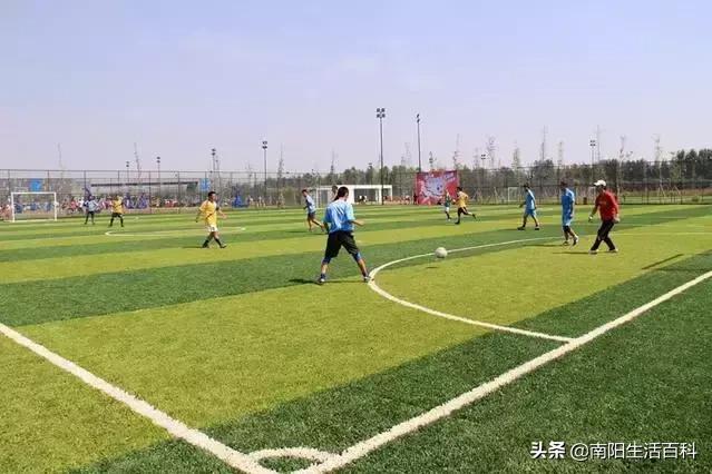 南阳体育中心室内开放了吗,南阳体育中心将免费开放