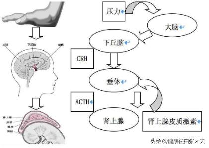 孩子得了白癜风妈妈很绝望,小孩得了白癜风影响学习吗