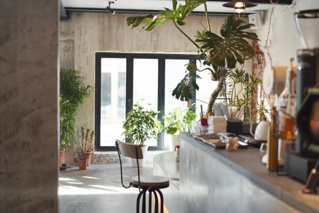 打卡网红地朋友圈,适合春天的网红打卡点