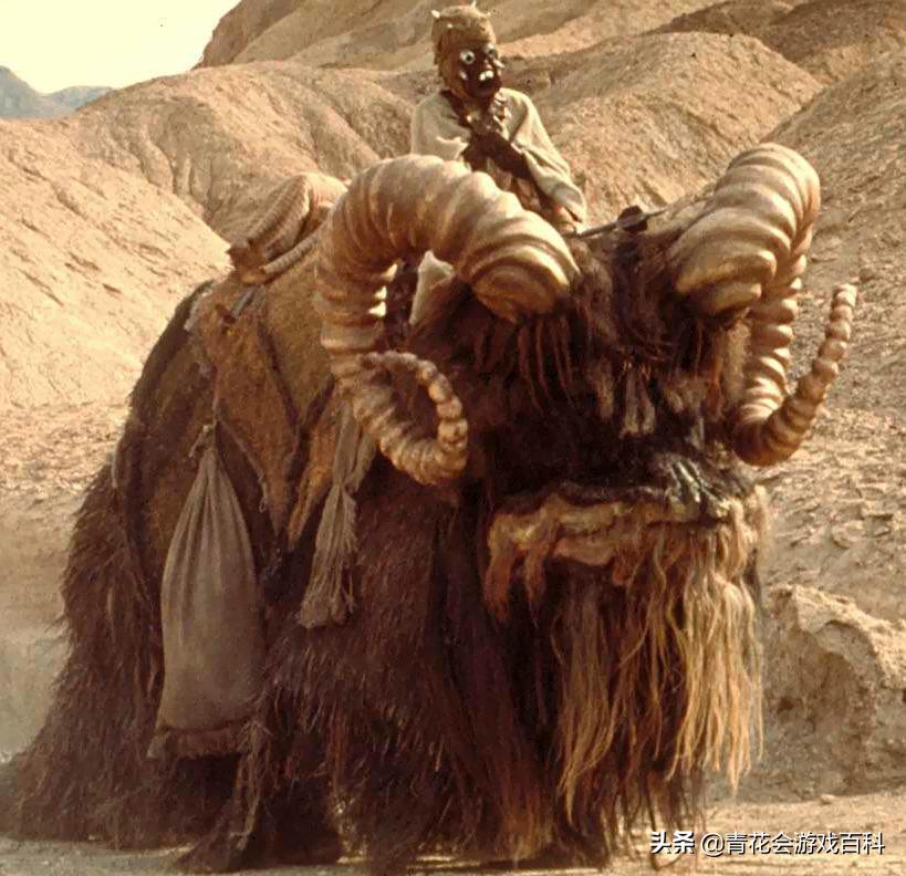 游戏布局规划方法,游戏布局技巧口诀