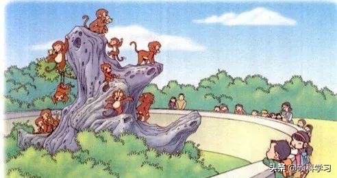 常考范文50篇看图写话一二年级,一二年级看图写话练习100篇附范文