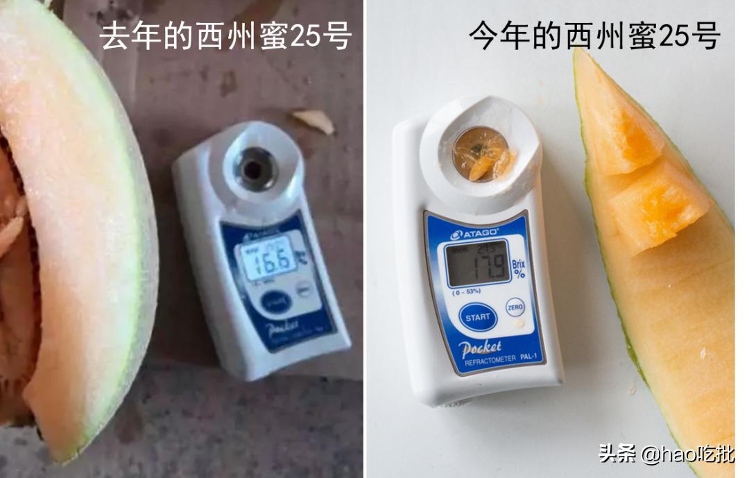 西州蜜25号与17号甜度,西州蜜25号的甜度