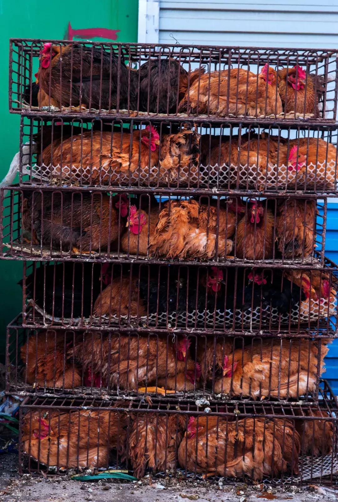 再见红利的图片,再见了股市视频