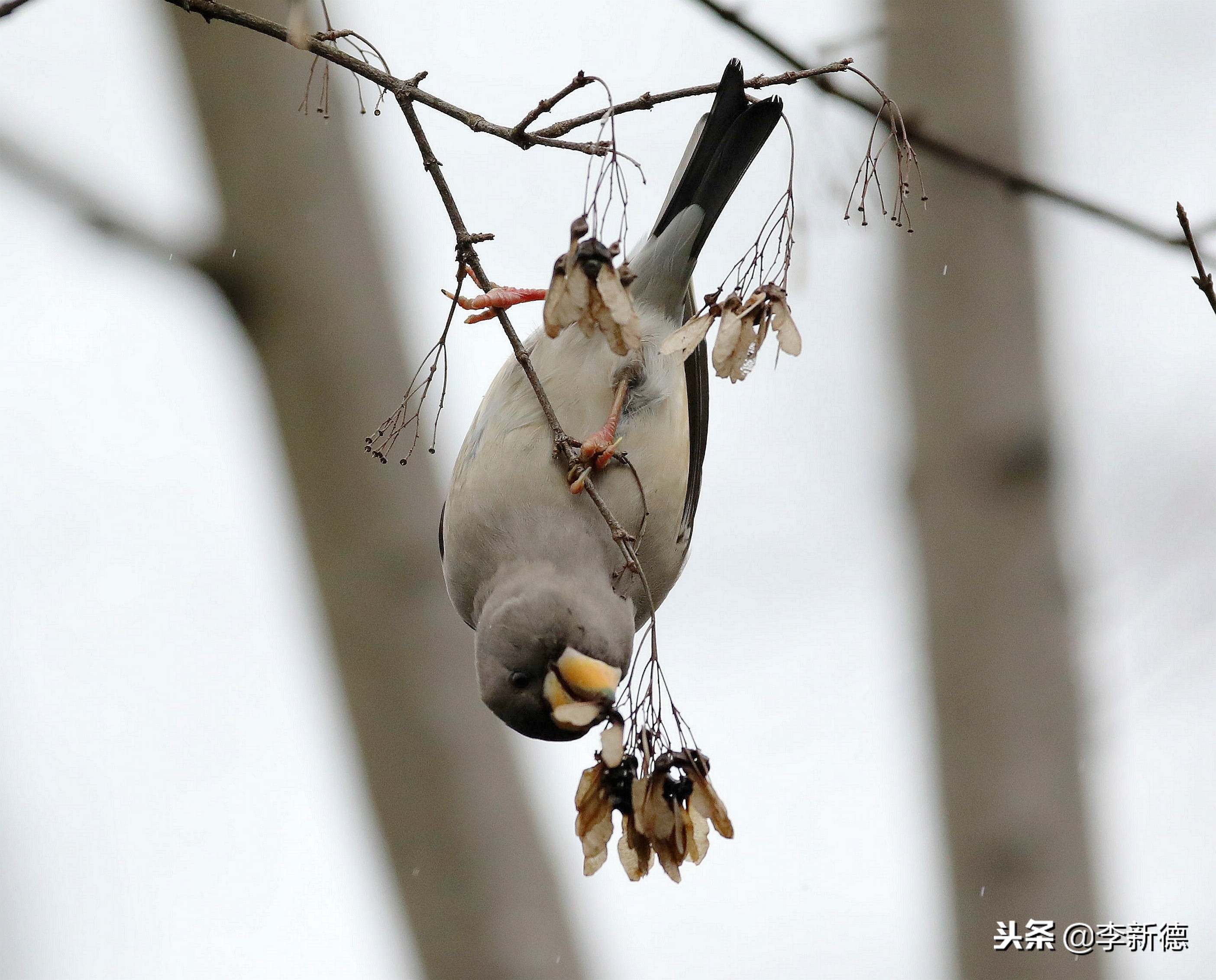 合肥高新区蜀峰湾,合肥市蜀峰湾