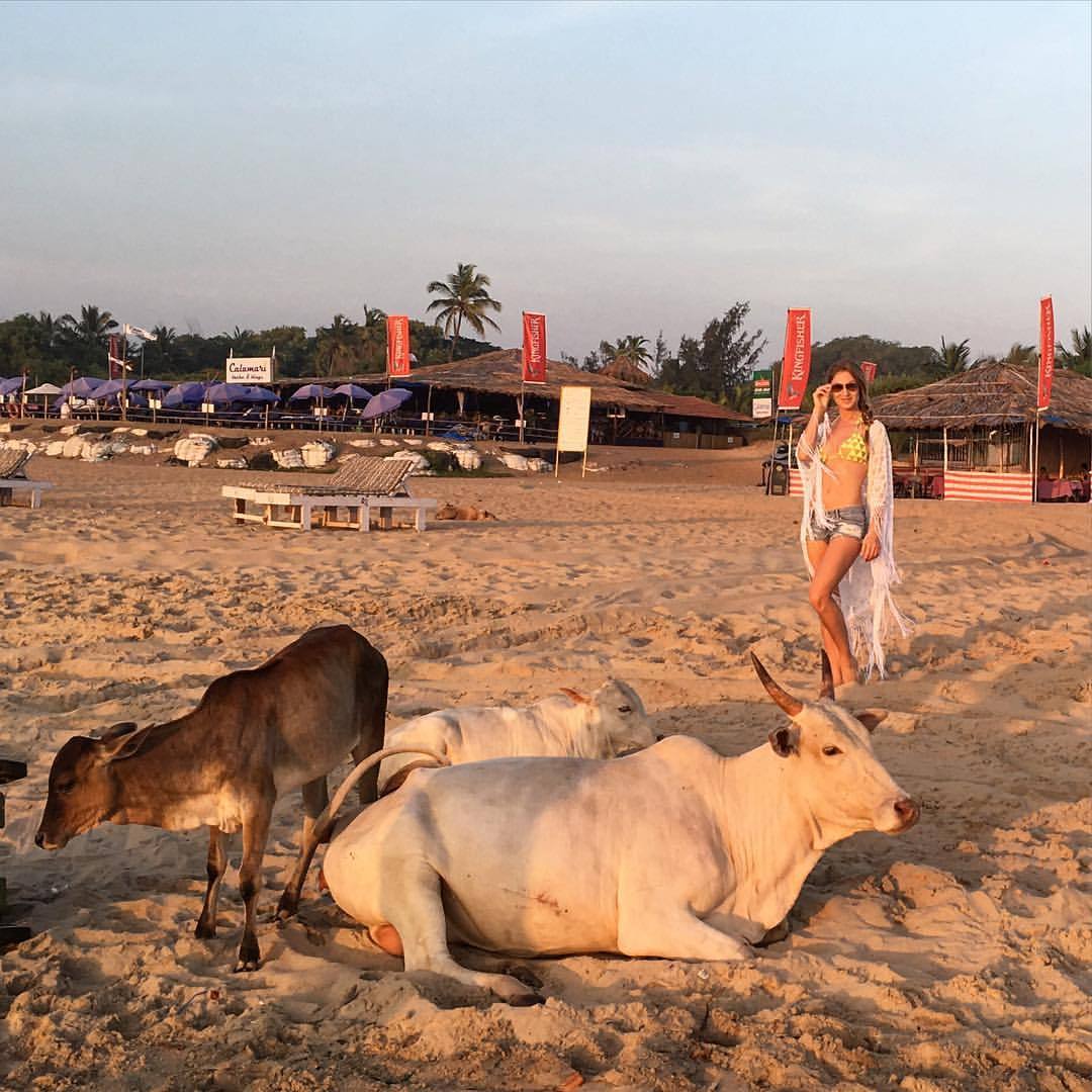 世界上有趣的动物视频,世界上最有趣的海底动物