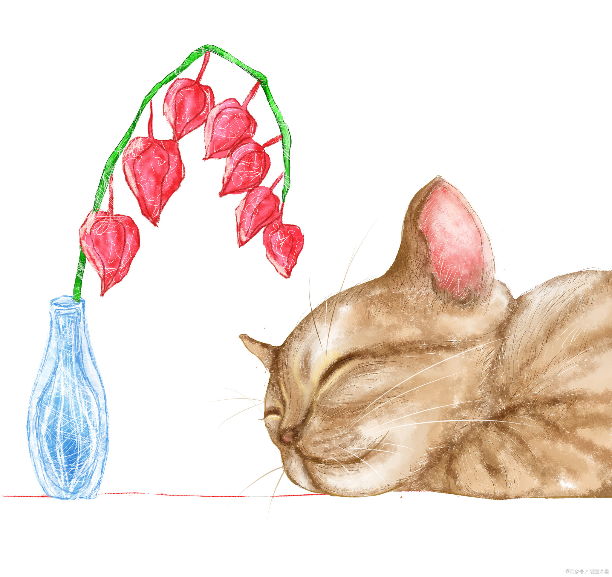 怎么训练猫亲近主人,猫主子训练动作图解