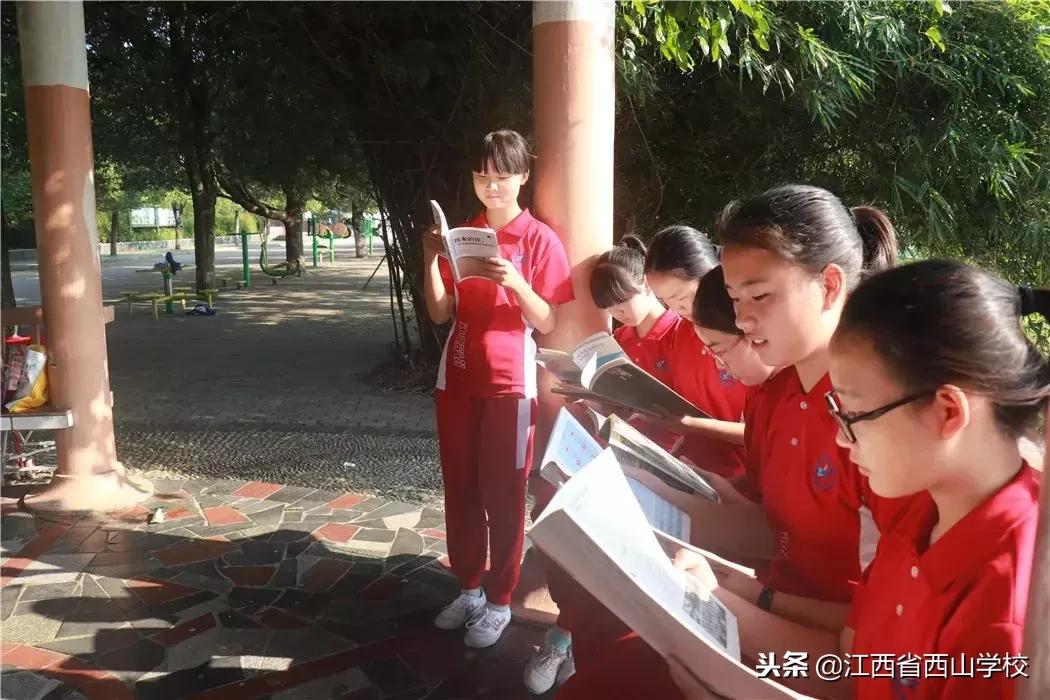 西山学子完整视频,西山学子回母校