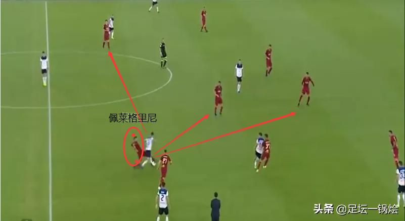 狼崽到狼王的蜕变,深度解析佩莱格里尼