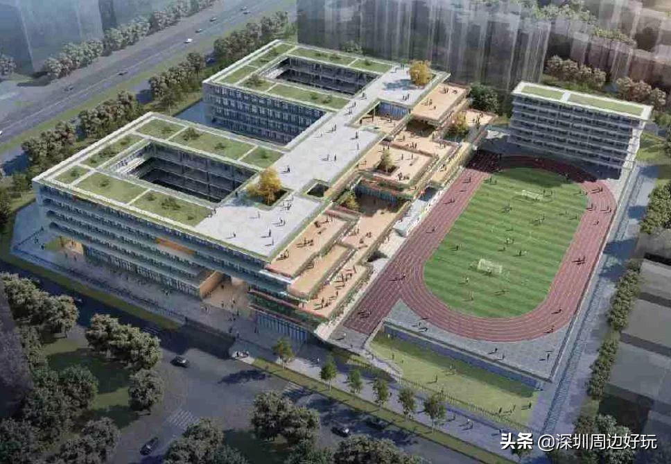 住在深圳的人,住在深圳的市民