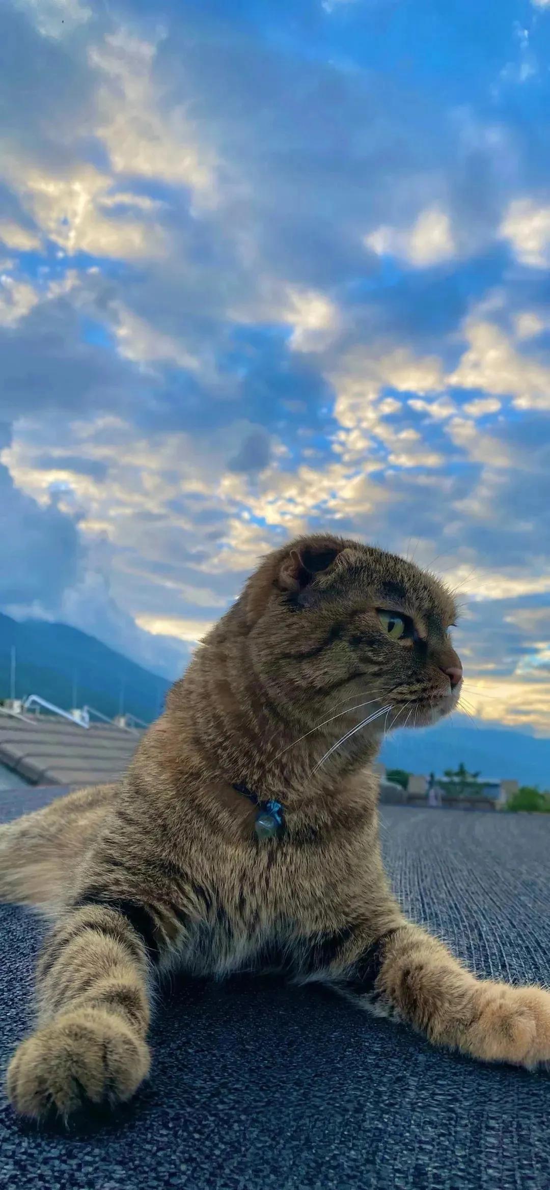 高清壁纸全屏无水印原图,iphonexsmax壁纸原图高清无水印