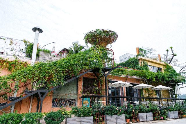 深圳11号线哪一站下车可以看海,坐深圳11号线去看海的地方