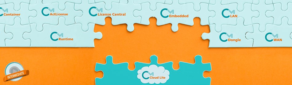 加密狗有什么安全上的特性,加密狗的使用价值是什么