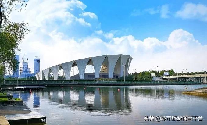 收藏游泳视频下载,冬季游泳大全