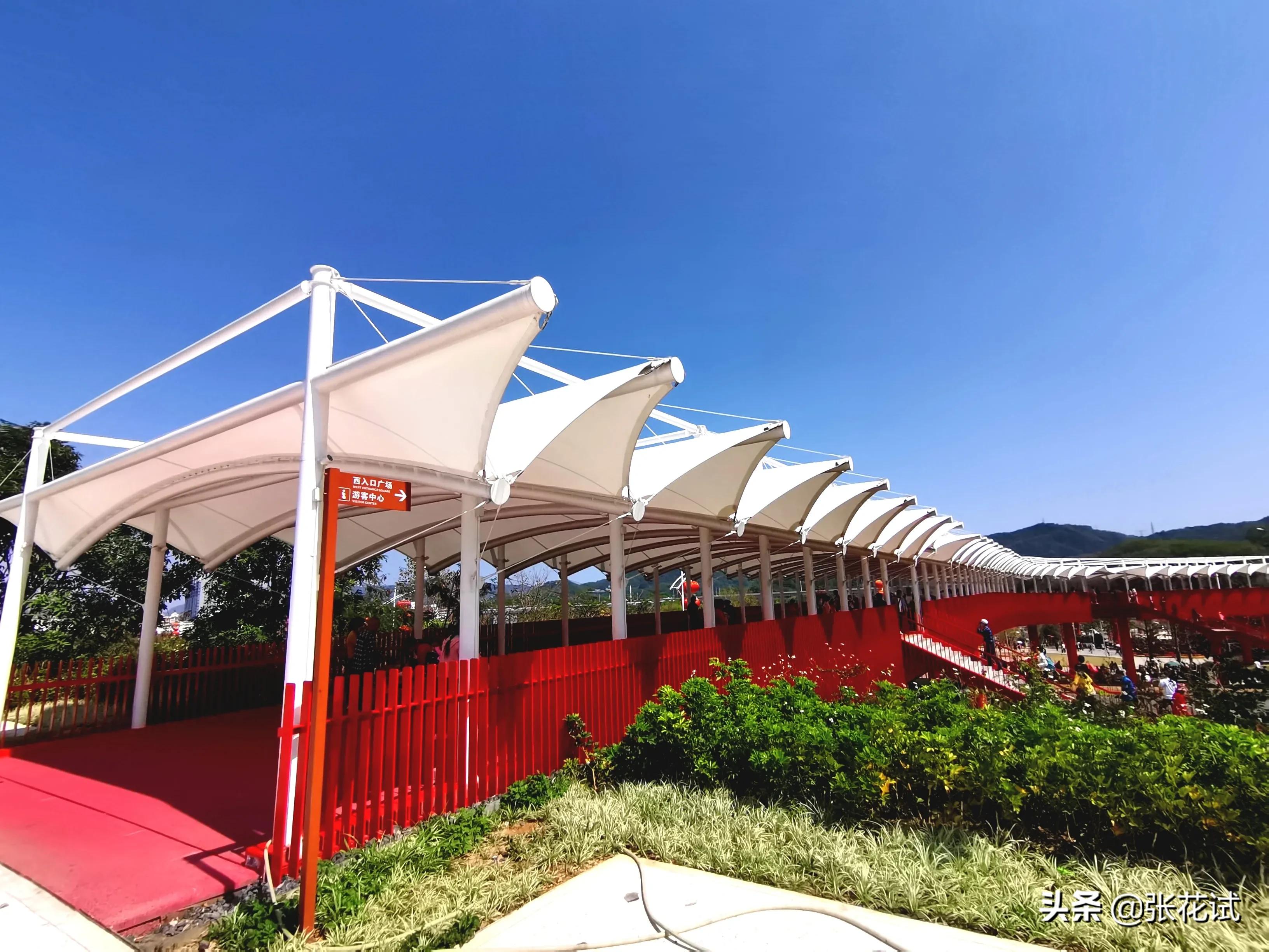 新春踏上深圳光明“虹”地毯，牛年红红火火