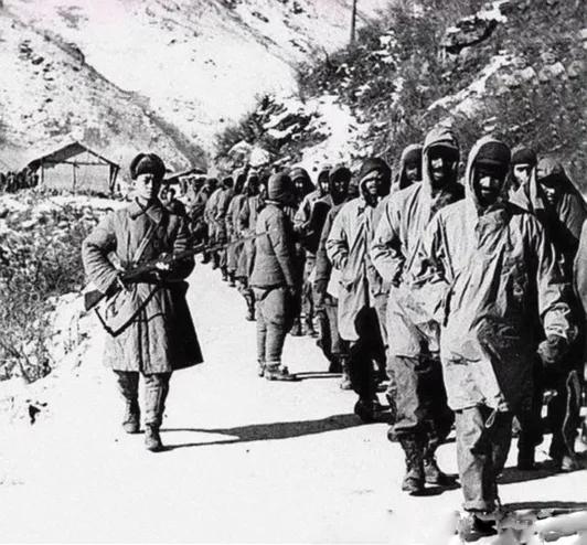 罗援将军:独有英雄驱虎豹更无豪杰怕熊罴,“新兴里战斗模范连”