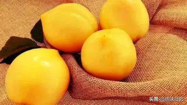 沂蒙山黄油桃4.5斤,早熟的黄油桃