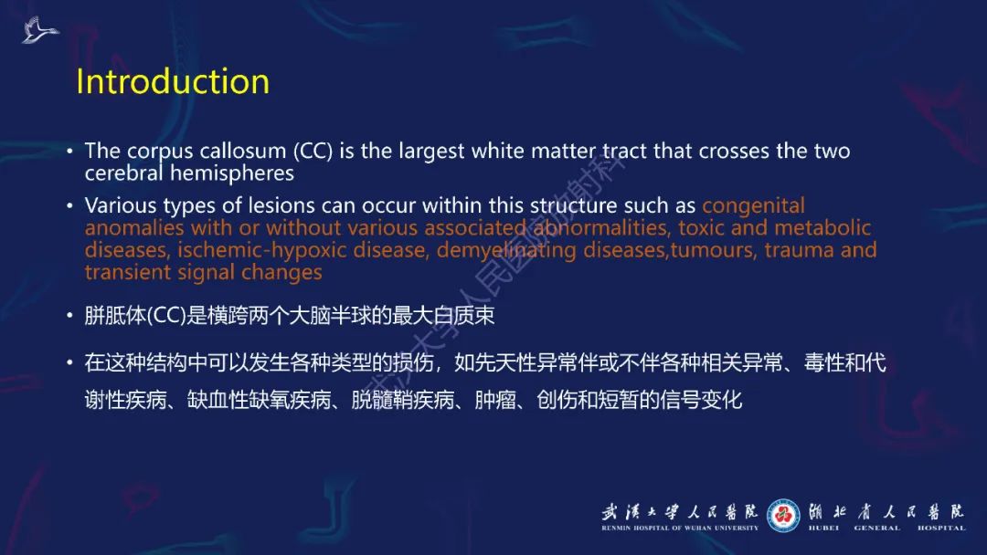 胼胝体肿瘤影像鉴别,胼胝体病变影像诊断