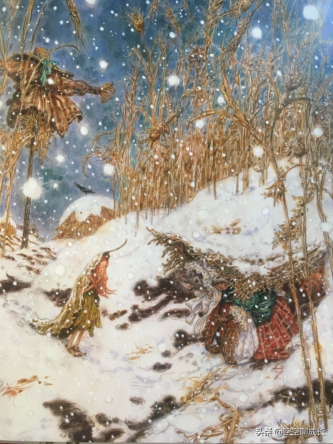 拇指姑娘是一个怎样的姑娘,拇指姑娘让我们懂得了什么