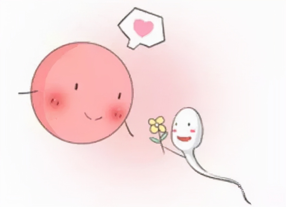 精子浓度低和精子总数少原因,精子量少怎样增加精子量