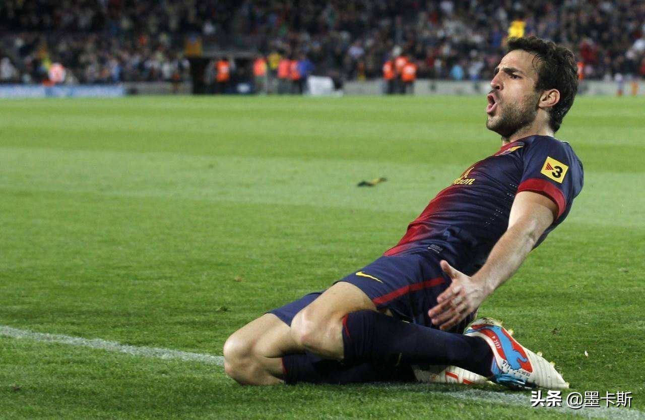 法布雷加斯的传球,法布雷加斯西班牙国家队