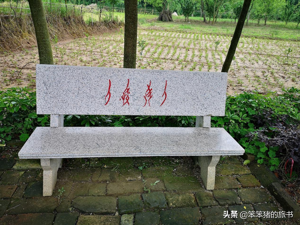 探秘濒临消失的音节文字——女书