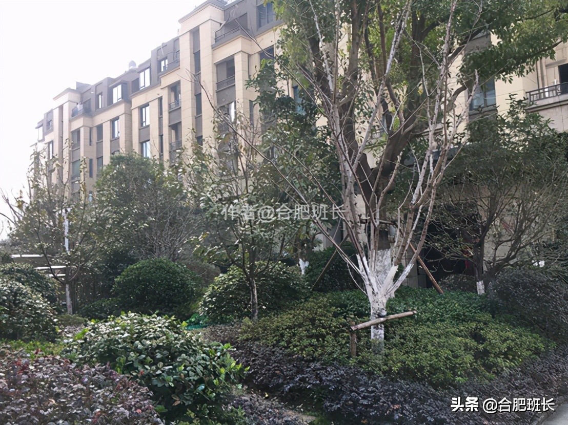 合肥滨湖高速时代公馆交付实景图,合肥高速时代公馆实探