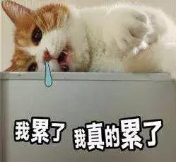 广州代购都去哪里,广州代购