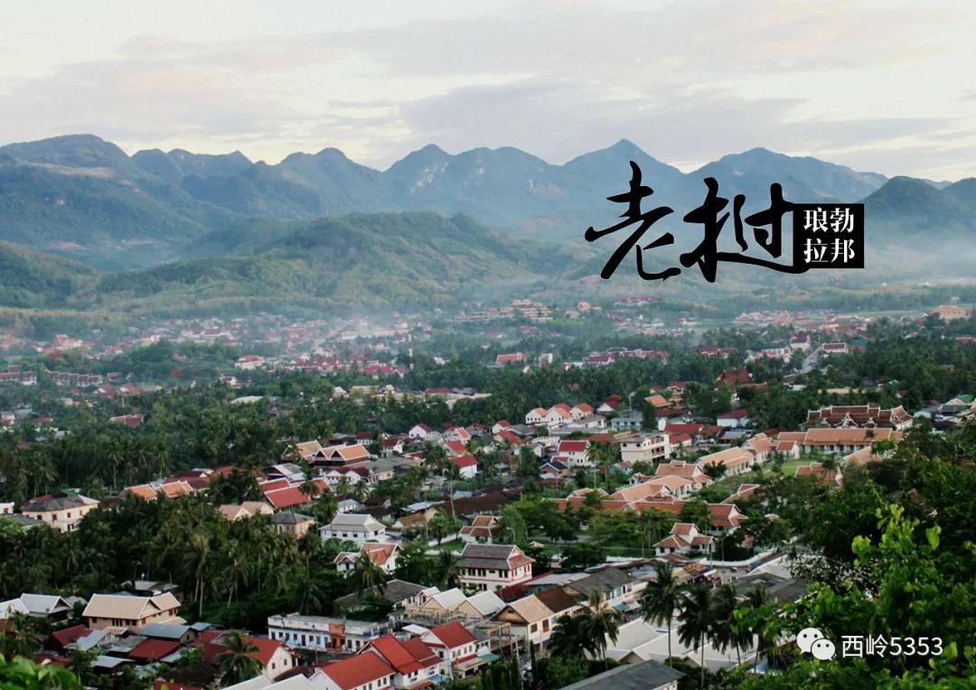 健康养生如天成，老挝特产铸永恒！老挝原生态系列全新上线