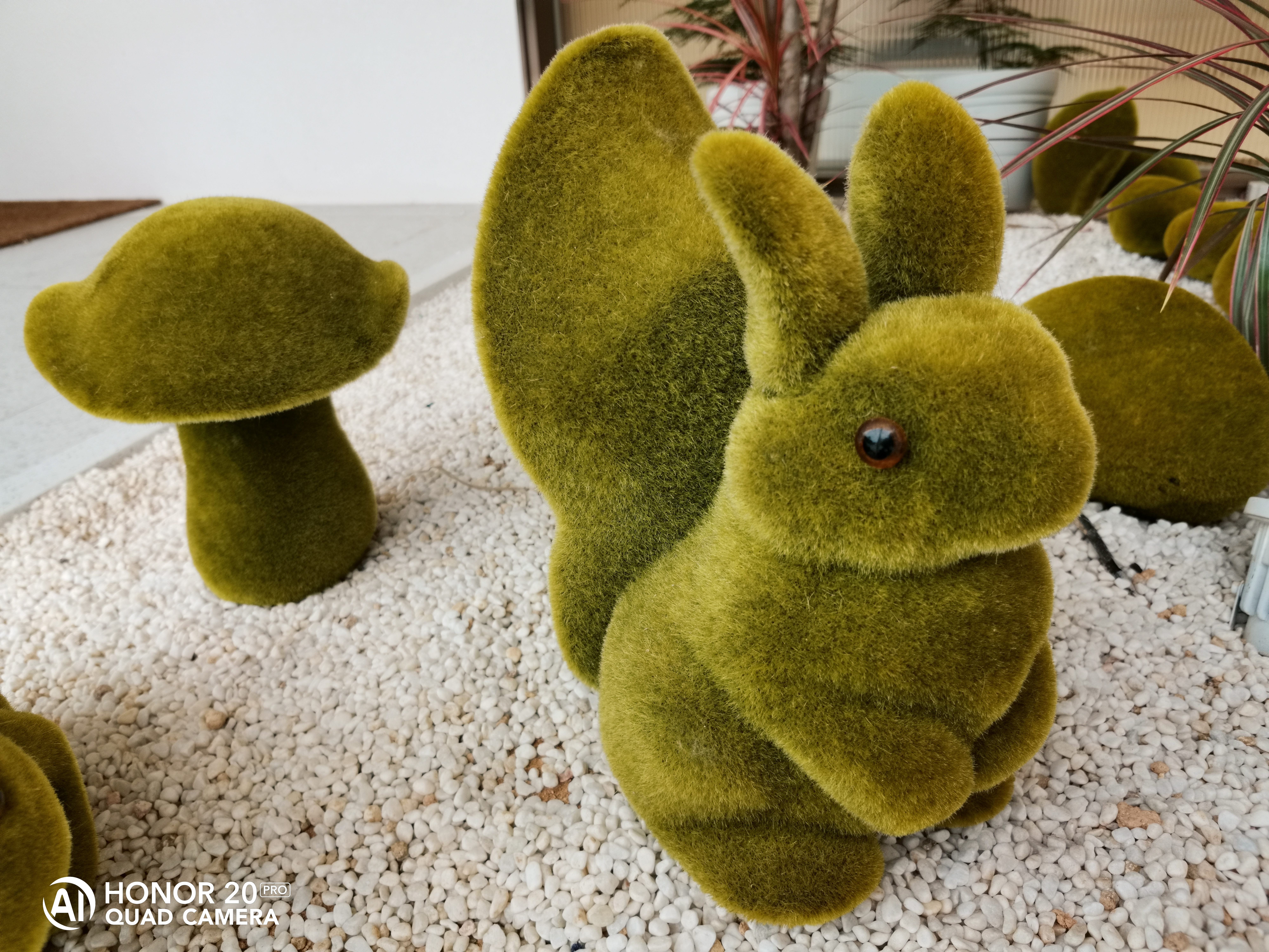 荣耀20pro夜视仪拍摄教程,荣耀20pro光学变焦