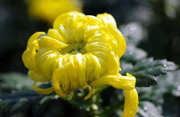 肛门塞异物很刺激？医生忙说：别乱来，快感之后全是悲伤