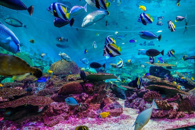 去韩国必买清单,韩国购物攻略衣服