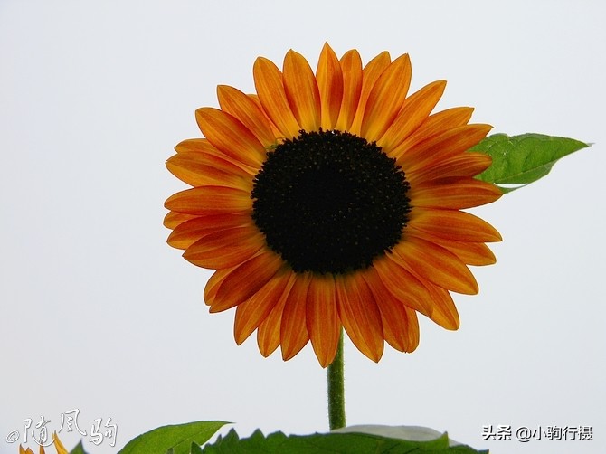 单车骑行无锡,无锡单车骑行路线