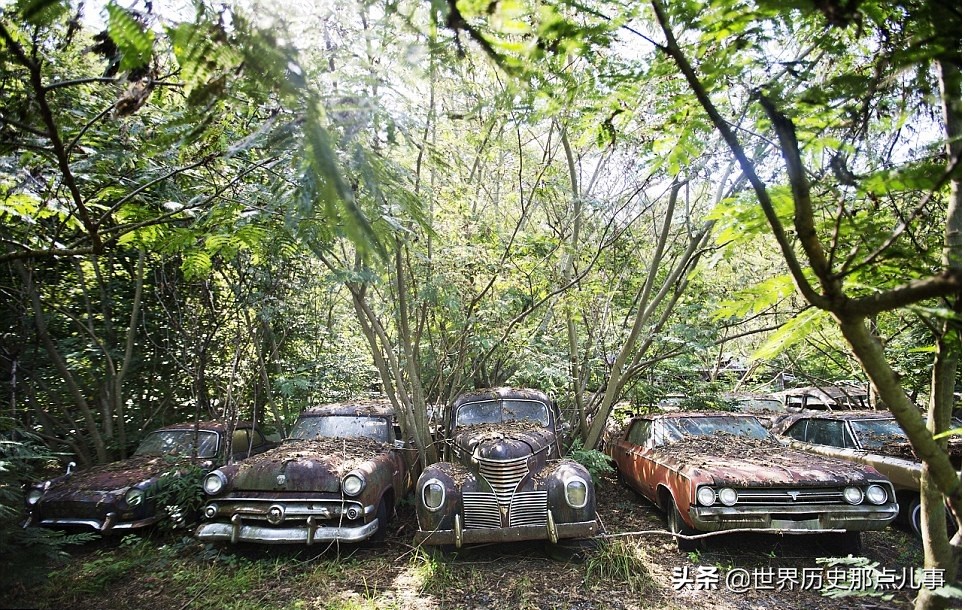 世界上最大汽车博物馆,全球最大的汽车博物馆