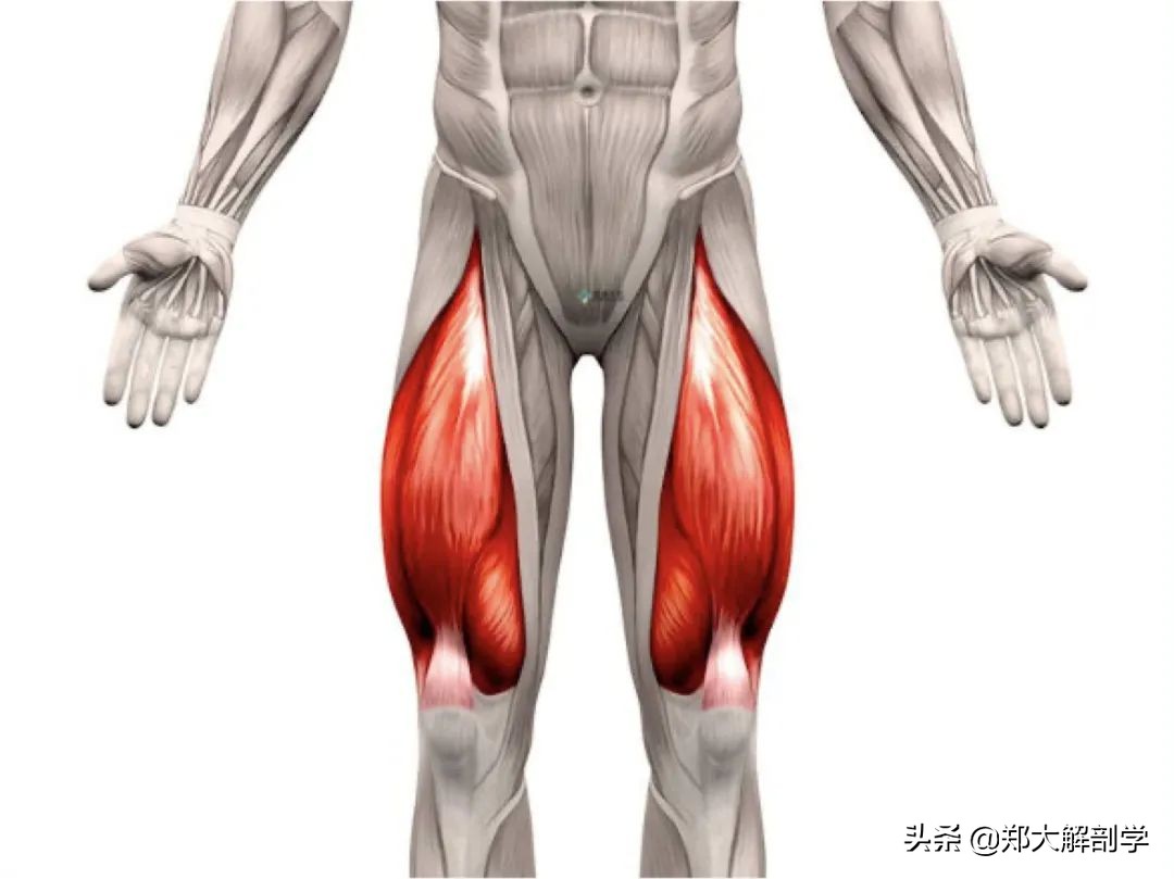 老年人蹲不下怎样锻炼,老年人蹲不下去了怎么办