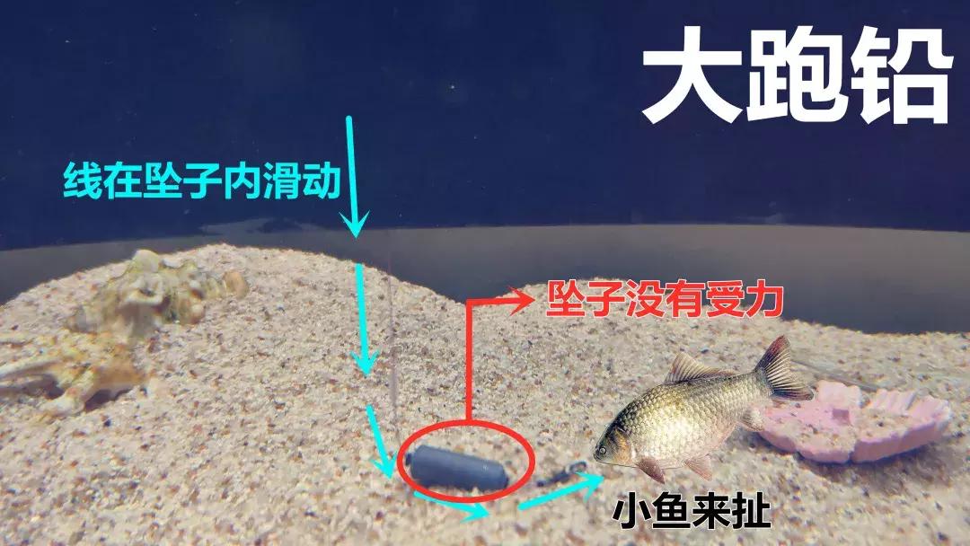 野钓调漂基础知识大全,野钓调漂最佳方法解读