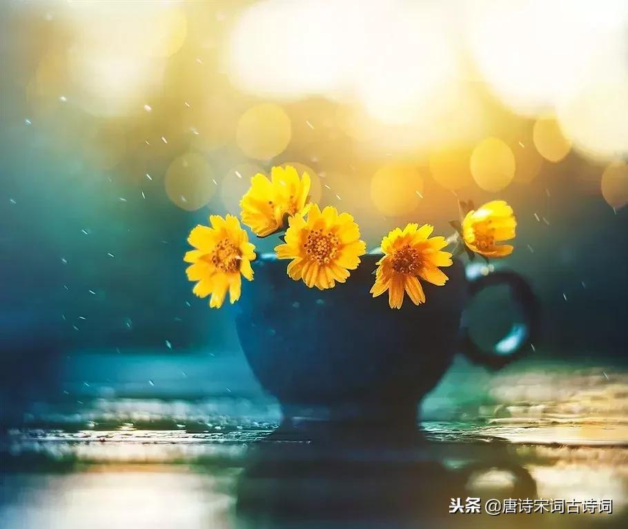 快乐是什么最有诗意的30个答案,如何用古语回答快乐的感受