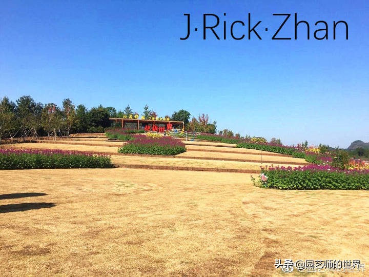 果岭草坪的种植养护方法及技巧,怎么种植一个可以躺的草坪