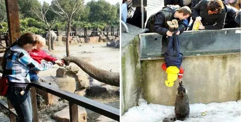 又胖又不想运动怎么减,胖不爱运动怎样才能瘦下来