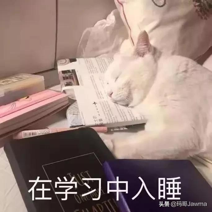 进击的人生！来康康零基础的我如何一口气通过法考