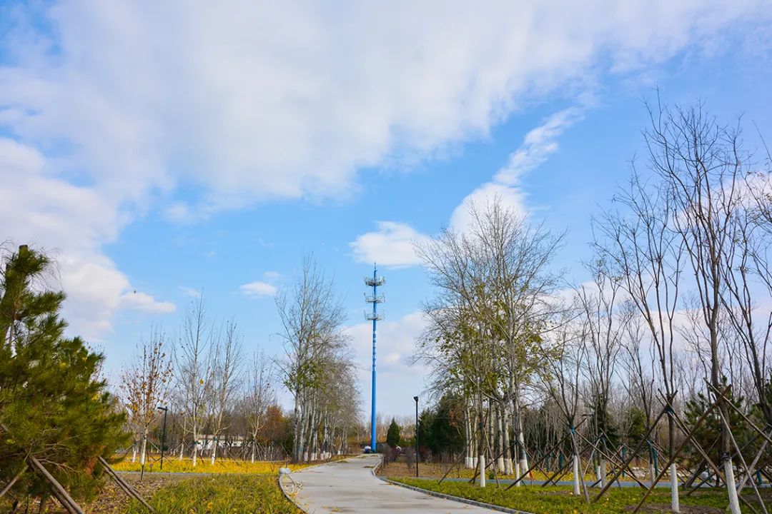 春意盎然北京五大公园,北京区级综合性公园