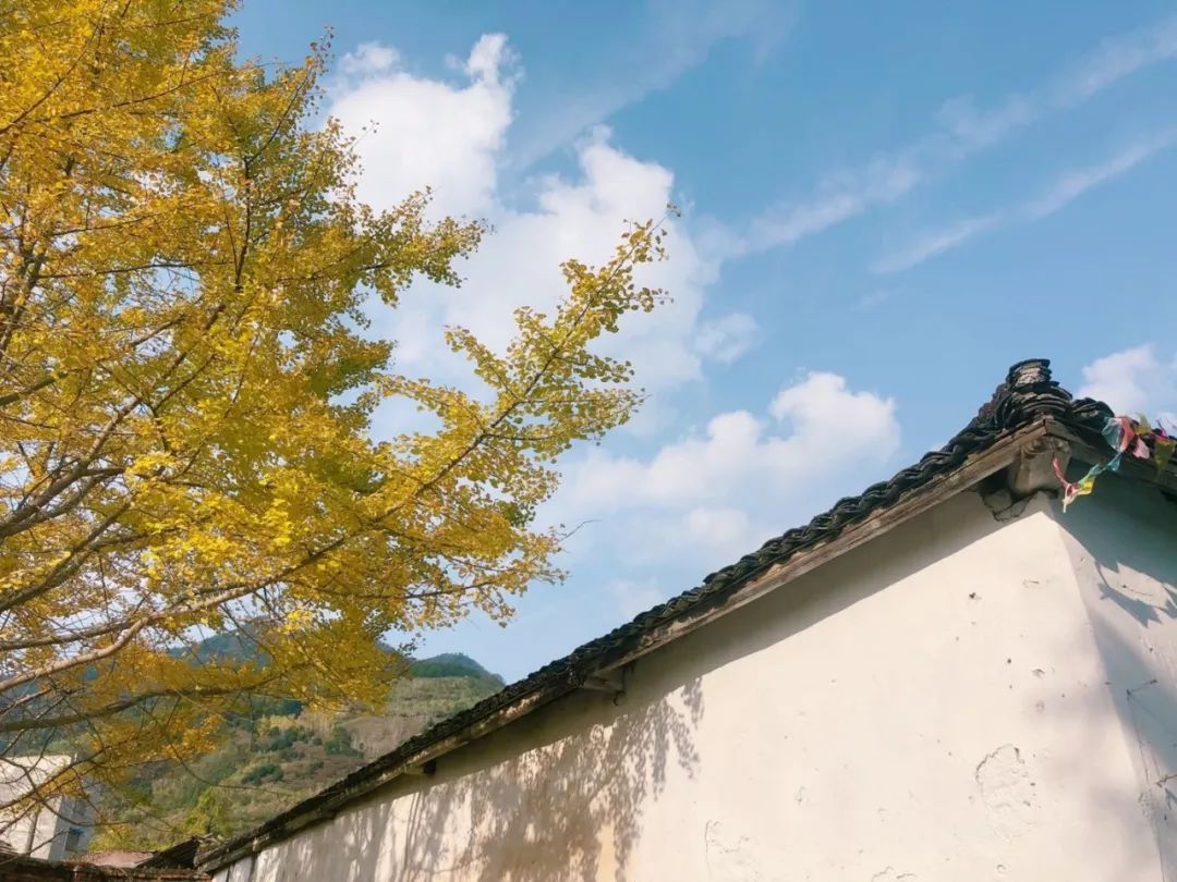 2月份去恭城看柿子,什么时候去恭城看柿子最好