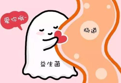 泰迪大便有血怎么回事,两个月泰迪便秘拉不出来吃什么