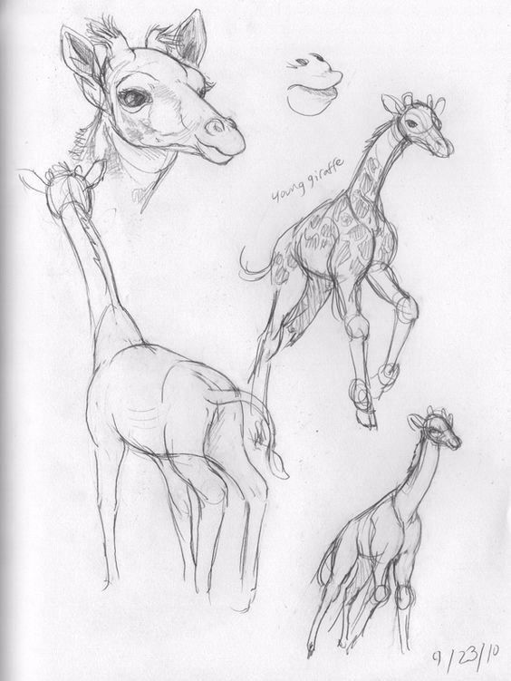 简笔画人物教程大全零基础成人,1000个适合零基础的简笔画教程