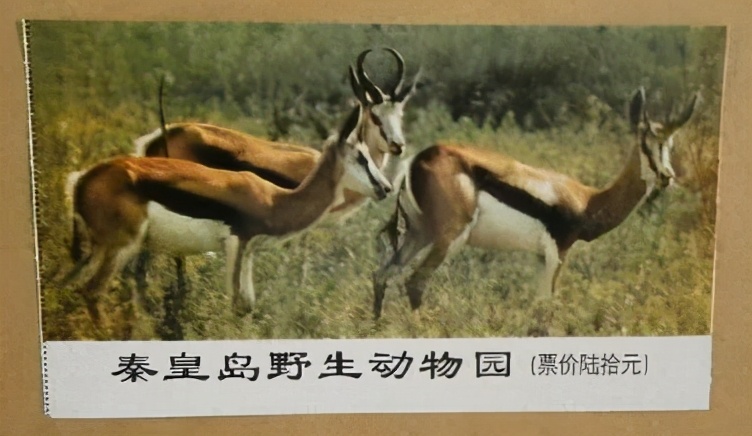 秦皇岛老君顶景区门票,秦皇岛有哪些值得一去的景点