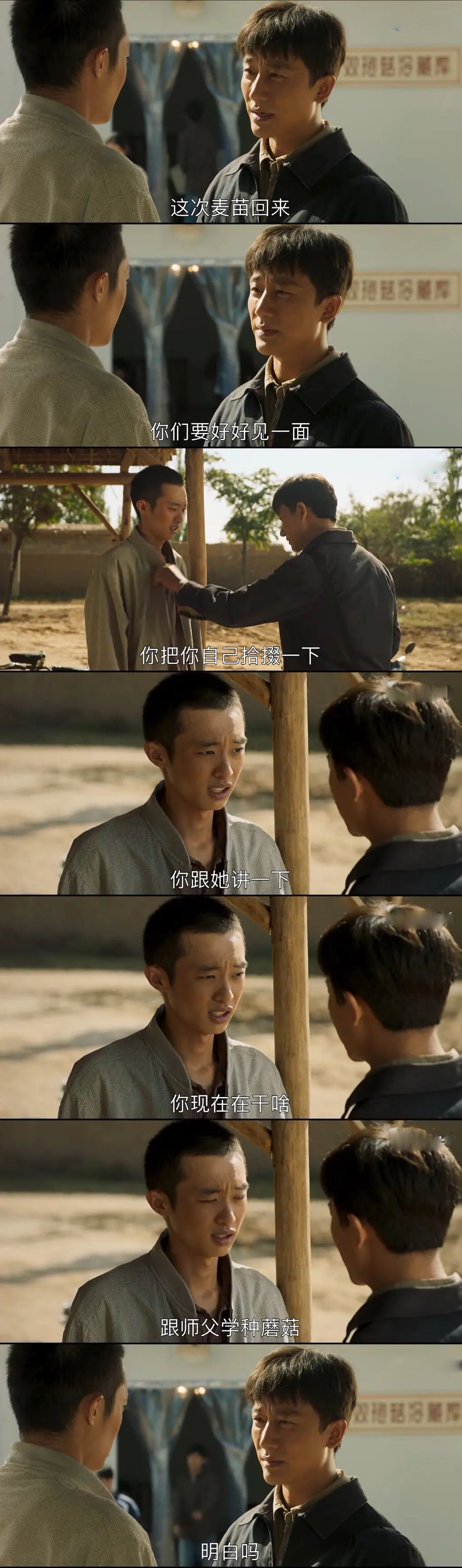 山海情结束后的感受,山海情追剧