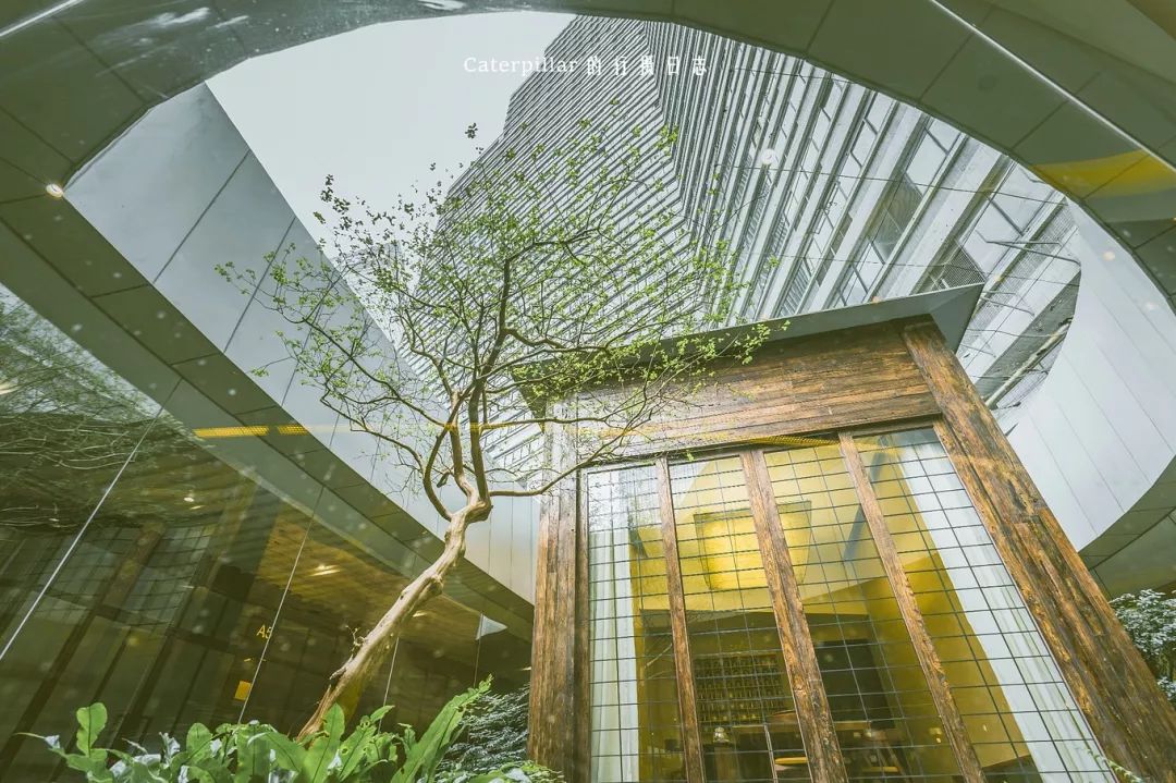 隐藏在广州的宝藏打卡地,广州小众户外