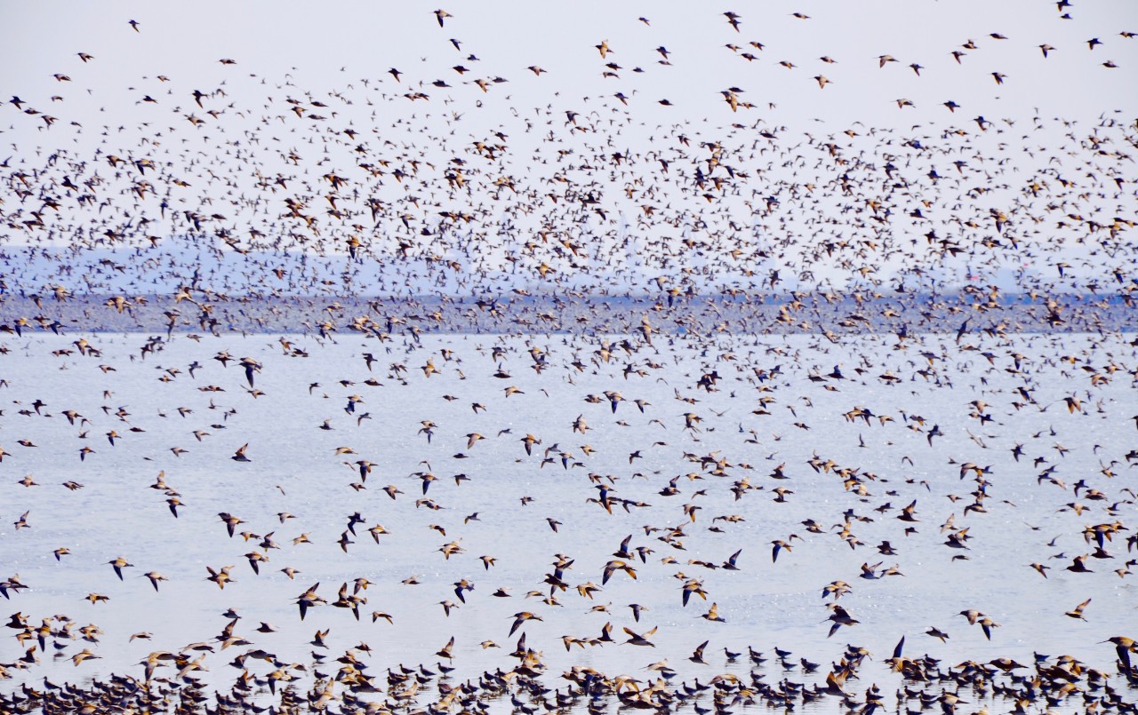 从南到北看祖国,从南到北看尽大好河山