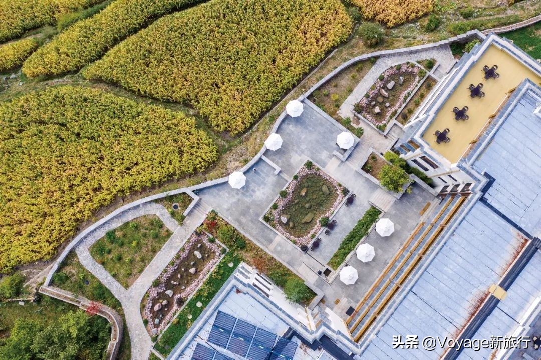 微信步数今天有但是之前的是0,今日微信步数为0