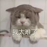 如何给文案配上好看的文字,优秀的文案写作模板