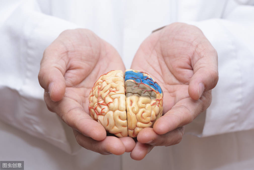 CT/磁共振报告上的“脑萎缩”到底是什么病？脑科医生为您解答